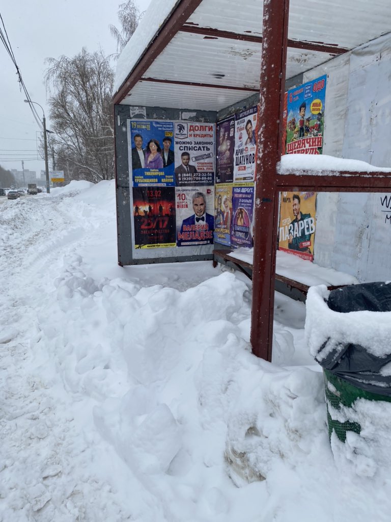 Екатерина Петрович tweet media