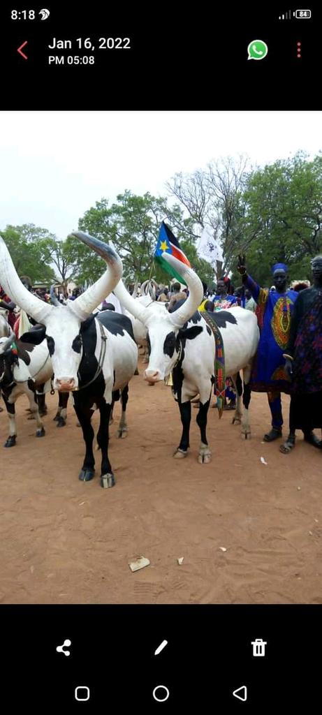 Choose one for your daughter's or sister's dowry. #SouthSudan.