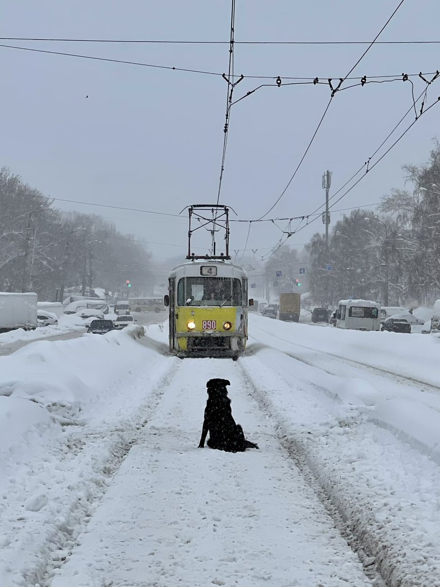 Трамваи встают потихоньку #самара #снег #зима #снегопад  #streetphotography #streetphotographer #streetphotorussia #streetphoto_russia