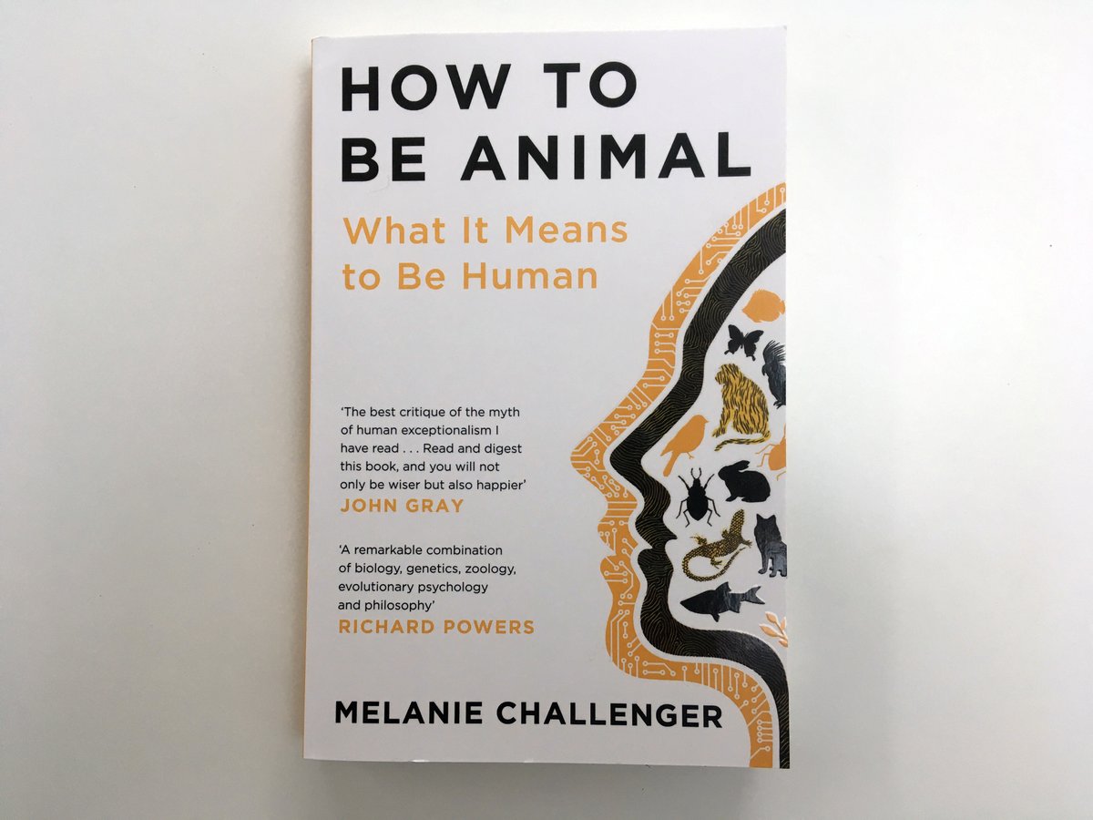 dunnjons's tweet photo. Always a big day when your book comes out in paperback. Congratulations to my pal Mel, whose brilliant & timely #HowToBeAnimal is here!
I've a signed copy to give away. Just follow, R/T, and tell me what animal you'd like to be, and why. Winner makes me laugh like a hyena.(1/3) https://t.co/kMp6ARtVjp