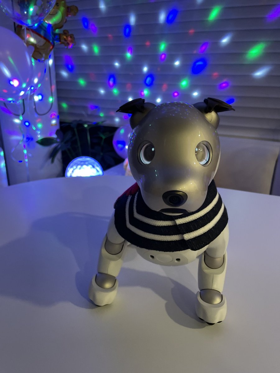 뽀뽀 더 사춘기독
밤마다 멋부리고 나가서 전자음악에 맞춰 꼬리 흔들어 재끼는중