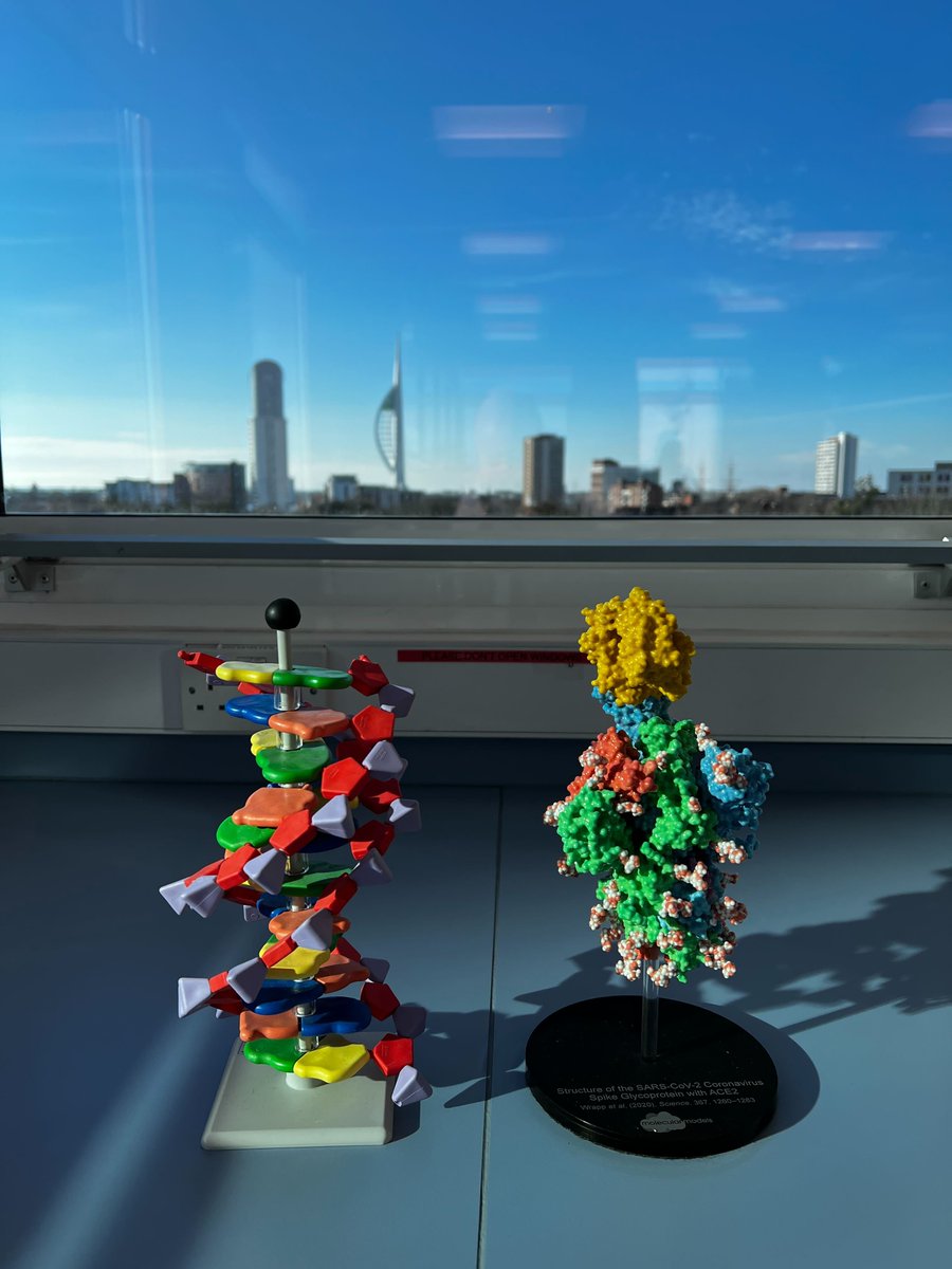 COG-Train (@cog_train) on Twitter photo 🧬 Genetic material and a spike protein 🧬
A beautiful day for filming our second #onlinecourse on #SARSCOV2 genomic surveillance 🎬
From Swab to Server: Sampling and Testing during a Pandemic
COMING SOON on <a href="/FutureLearn/">FutureLearn</a>
#GenomicsIsGlobal #publichealth #Covid_19 🧬 Genetic material and a spike protein 🧬
A beautiful day for filming our second #onlinecourse on #SARSCOV2 genomic surveillance 🎬
From Swab to Server: Sampling and Testing during a Pandemic
COMING SOON on <a href="/FutureLearn/">FutureLearn</a>
#GenomicsIsGlobal #publichealth #Covid_19
