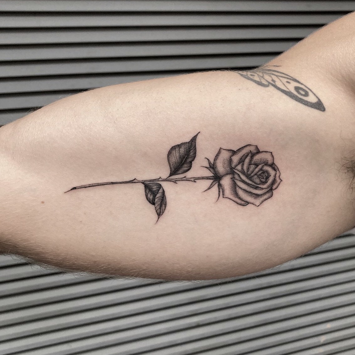 By Paige.
Bookings~Quotes~Consults:
trademarktattoos.com
#trademarktattoo #durbantattoo #southafricatattoo