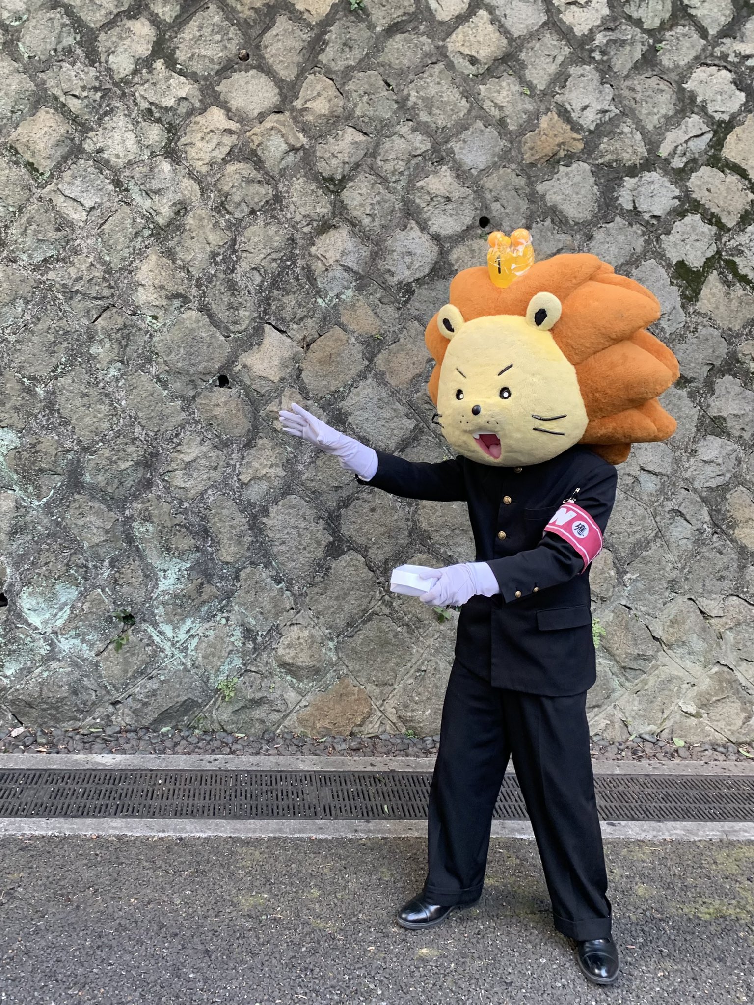 わーおくん Waaokun Twitter