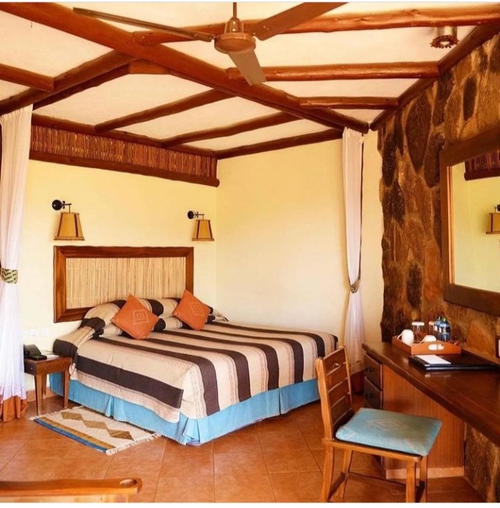 AllInOneToursT1's tweet photo. Don't be left behind without a month's plan. You can choose to experience where you will spend your month's vacation in this beautiful environment #kilaguniserenasafarilodge #amboseliserenasafarilodge

2 Nights 3days combo kilaguni/Amboseli (Valid UpTo 30th June) @ KSH 38,900 pp https://t.co/AyiNmjT6pt