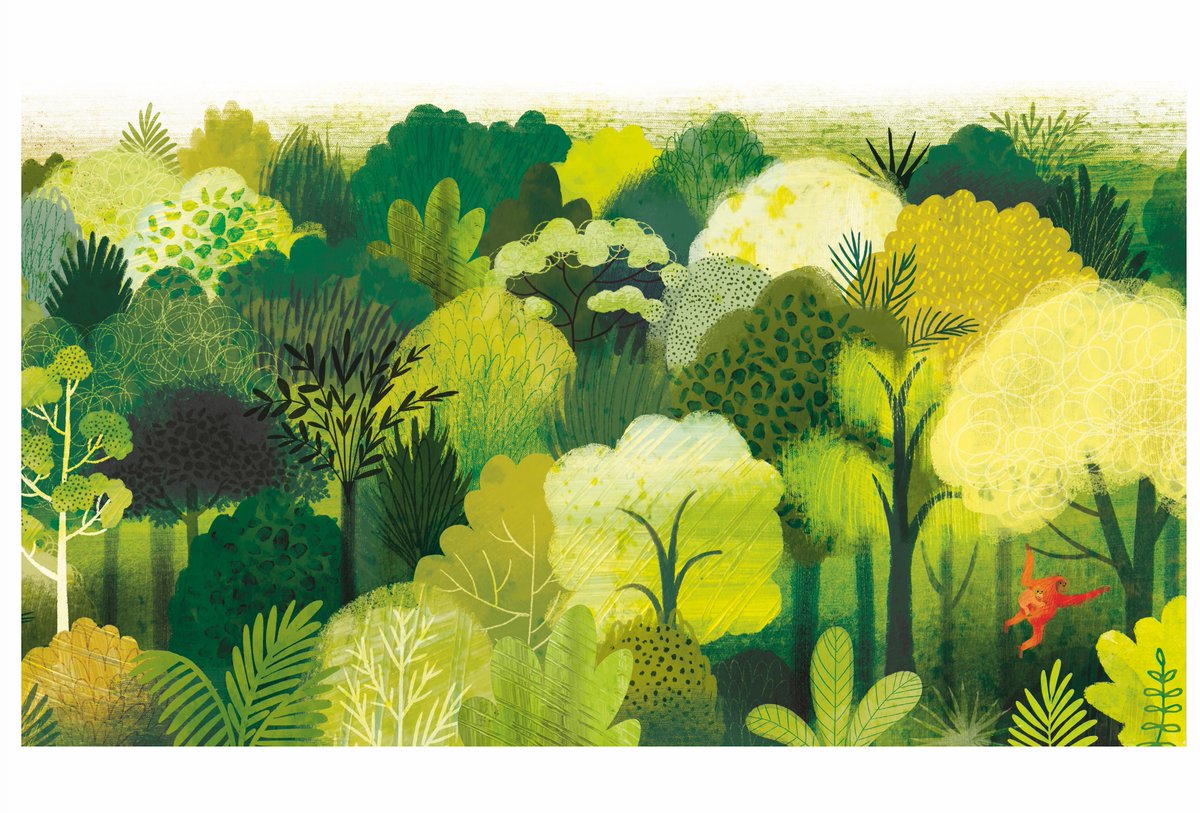 Rainforest