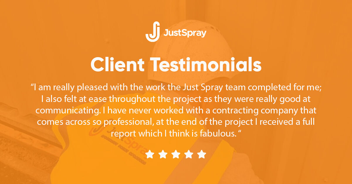 Just Spray tweet media