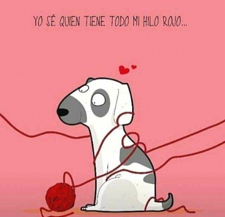 SVivas19's tweet photo. Los amo..🐾🐾🐶 https://t.co/rph87WPizQ