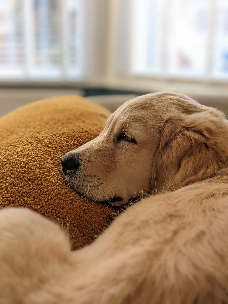 Sarah Kay tweet media