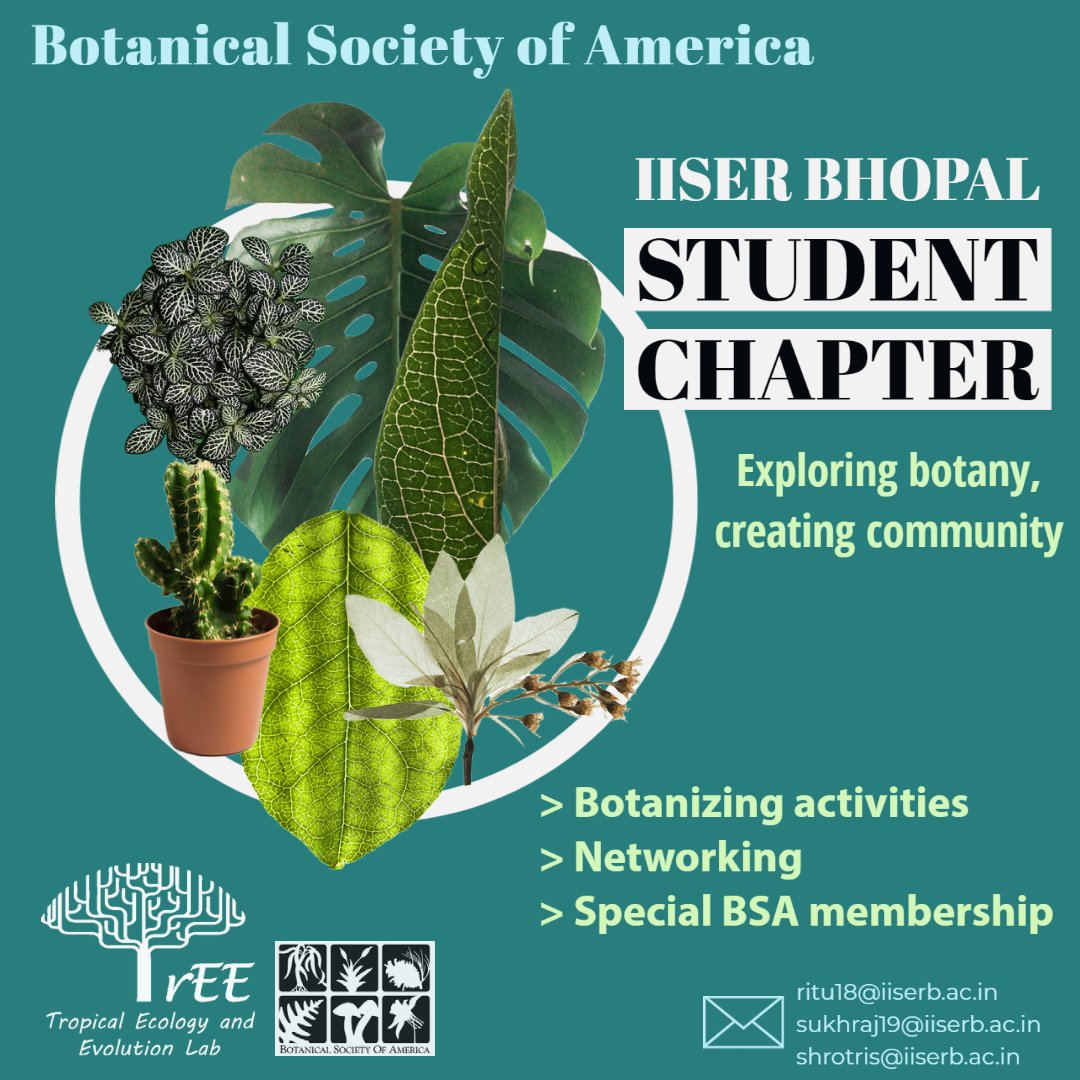 Saket Shrotri🌱🏵🐝 (@saaaakeeeet) on Twitter photo Excited to announce India's first <a href="/Botanical_/">Botanical Society of America</a> student chapter! Join us in engaging botanizing activities, networking, discussions, and much more. Looking forward to active participation from budding botanists.
<a href="/iiserbhopal/">IISER Bhopal</a> <a href="/vinita_gowda/">Vinita Gowda: Success has never been my weakness</a> <a href="/TrEE_Lab/">TrEE Lab</a> <a href="/yadav_rituu/">Ritu Yadav</a> <a href="/sukhrajkaur_13/">Sukhraj Kaur</a> Excited to announce India's first <a href="/Botanical_/">Botanical Society of America</a> student chapter! Join us in engaging botanizing activities, networking, discussions, and much more. Looking forward to active participation from budding botanists.
<a href="/iiserbhopal/">IISER Bhopal</a> <a href="/vinita_gowda/">Vinita Gowda: Success has never been my weakness</a> <a href="/TrEE_Lab/">TrEE Lab</a> <a href="/yadav_rituu/">Ritu Yadav</a> <a href="/sukhrajkaur_13/">Sukhraj Kaur</a>