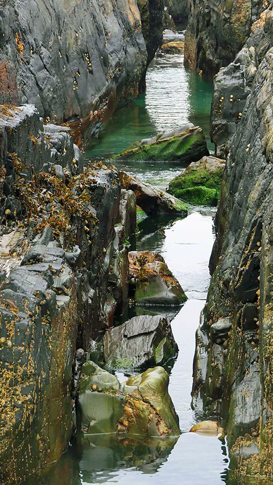 Another stunning shot of the Isle of Islay: water filled rock channel at Kilchoman, which has water even at low tide wt.social/post/isle-of-i…
