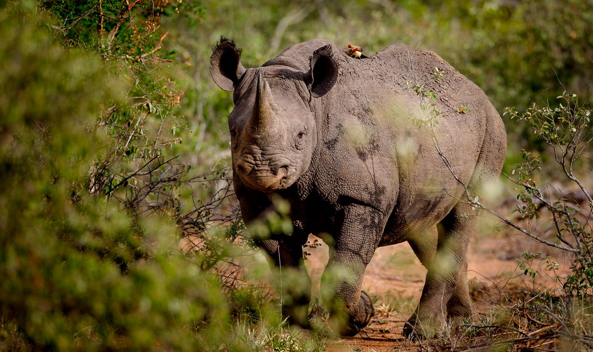 Tax Relief - Giving back -
We can help you by helping us, consider donating today
 mailchi.mp/6224768a0eae/t…