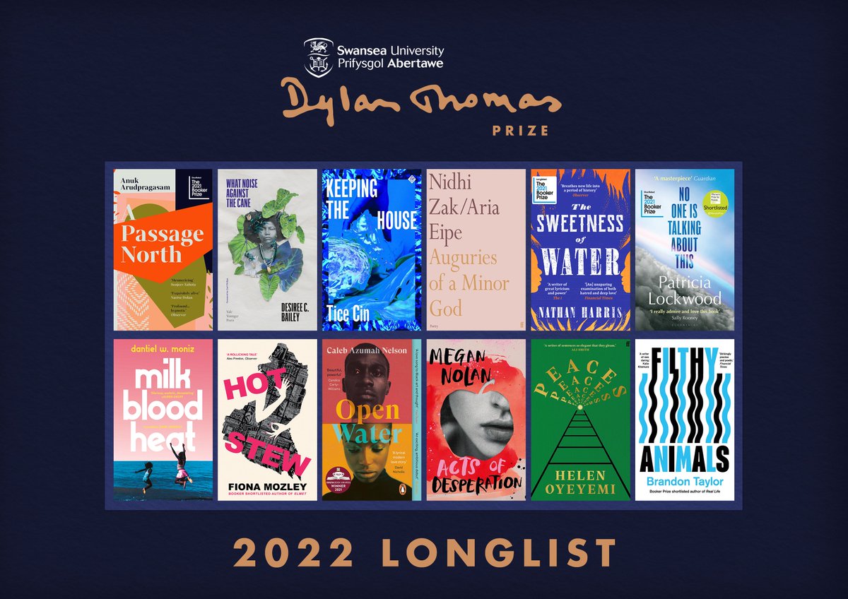 Taking a look at the newly announced 
@dylanthomprize longlist on my blog today: bookishbeck.wordpress.com/2022/02/03/the… #SUDTP22