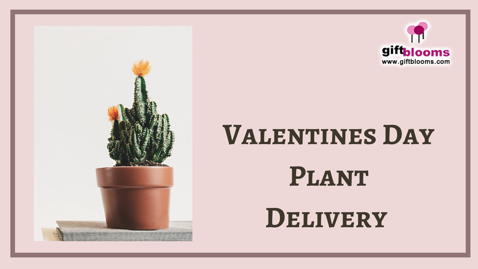 Giftblooms deals