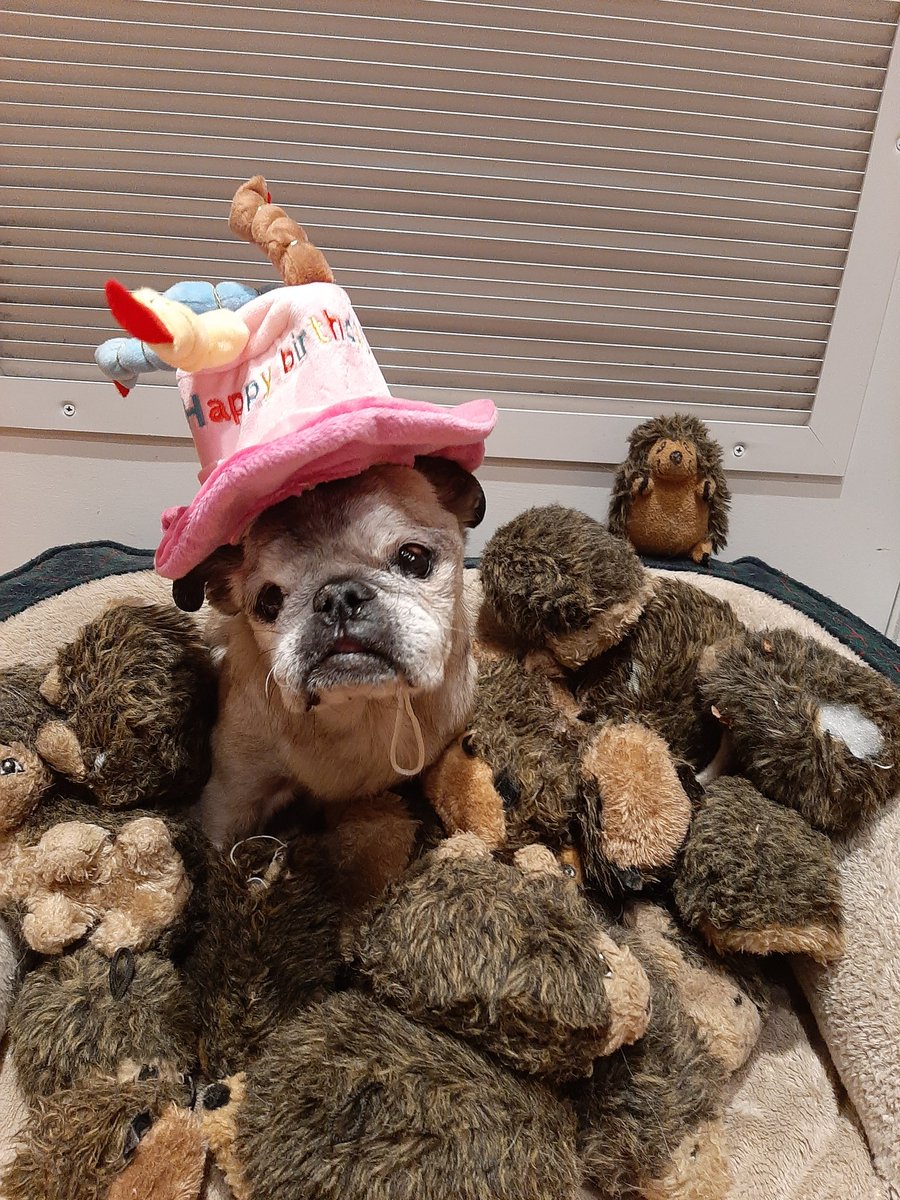 #Gnuggit turned 133 on 2/2/22.