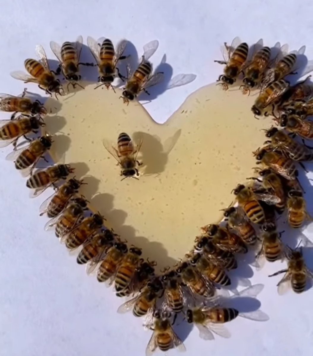 MikeInfinity7's tweet image. facebook.com/34368315699822…