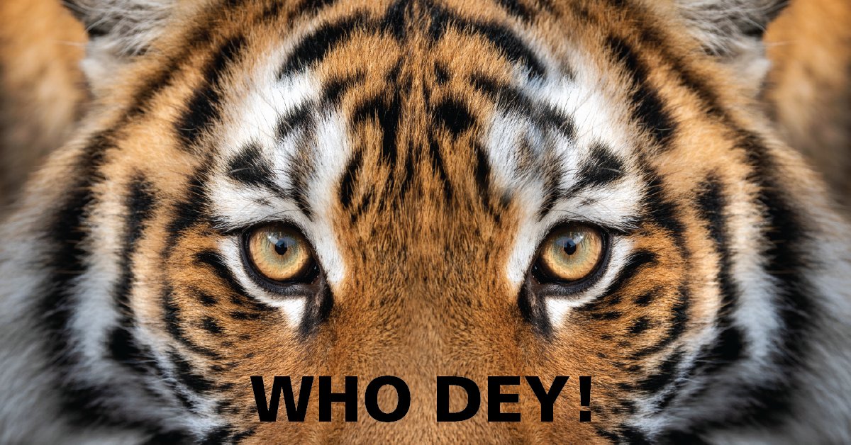 BarnesDennig's tweet photo. Celebrating the @Bengals historic Super Bowl run with the WHO DEY Giveback Challenge – donating $500 per Bengals Super Bowl point + $2500 McPherson “kicker” for a win – and inviting others to join us! Let’s show the nation what Cincy’s all about! WHO DEY! #WHODEYChallenge https://t.co/dqd3SxbA52