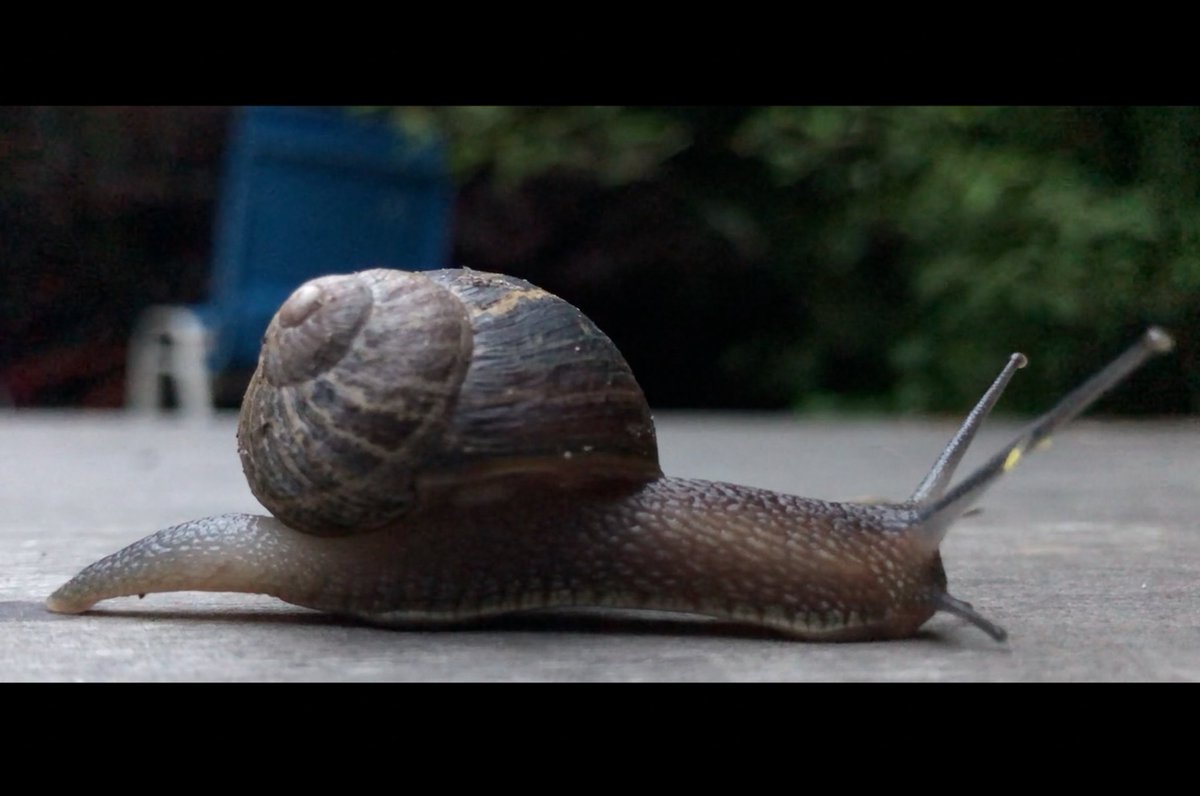 julesmaxmusic's tweet image. I have a new record coming out next month. The first piece of music from the album is called Deeper Sleeper and is released next Friday 11th February.
youtube.com/watch?v=Xm9tSk…