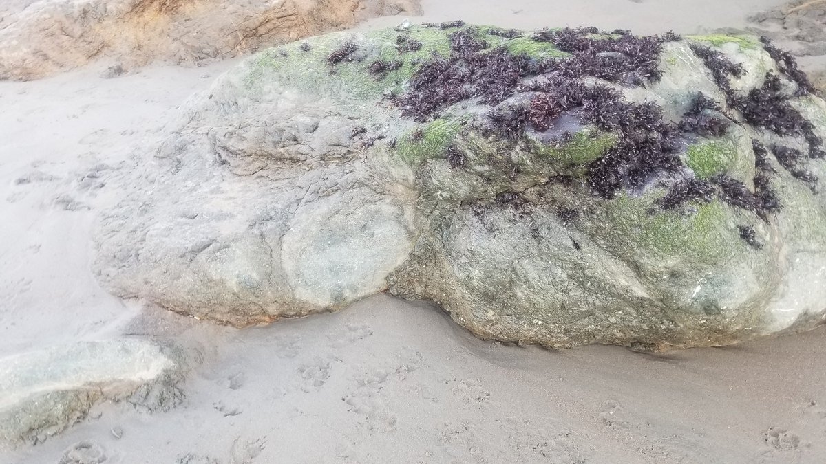 Digitized a cool rock found in north Cali.
#photogrammetry #meshroom #3d #nft #indiedev