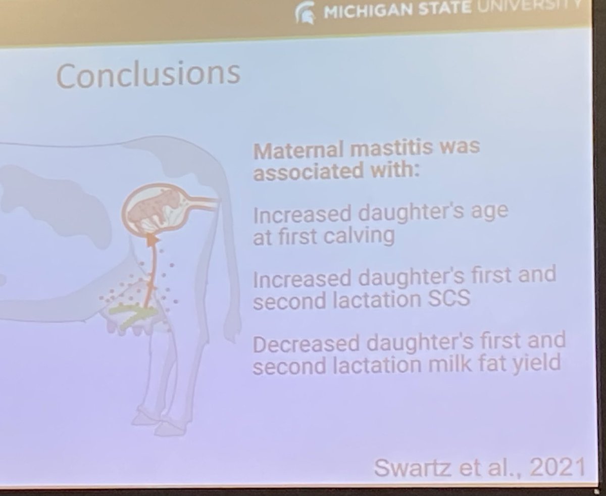 Pamela Ruegg, DVM, MPVM tweet media