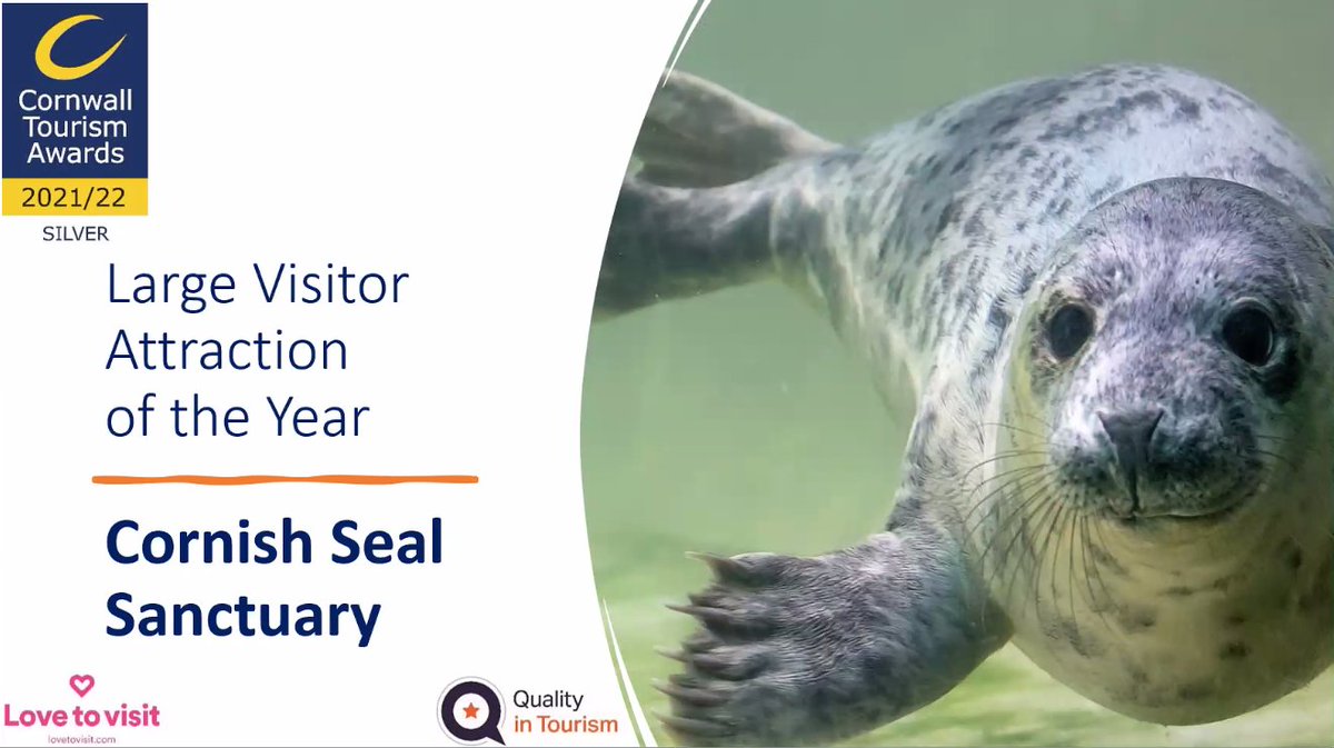 The second Silver for Large Attraction of the Year goes to the Cornish Seal Sanctuary in #Gweek <a href="/Seal_Sanctuary/">CornishSealSanctuary</a> Congratulations everyone – especially the seals #cta21

<a href="/lovetovisituk/">Lovetovisit.com</a>