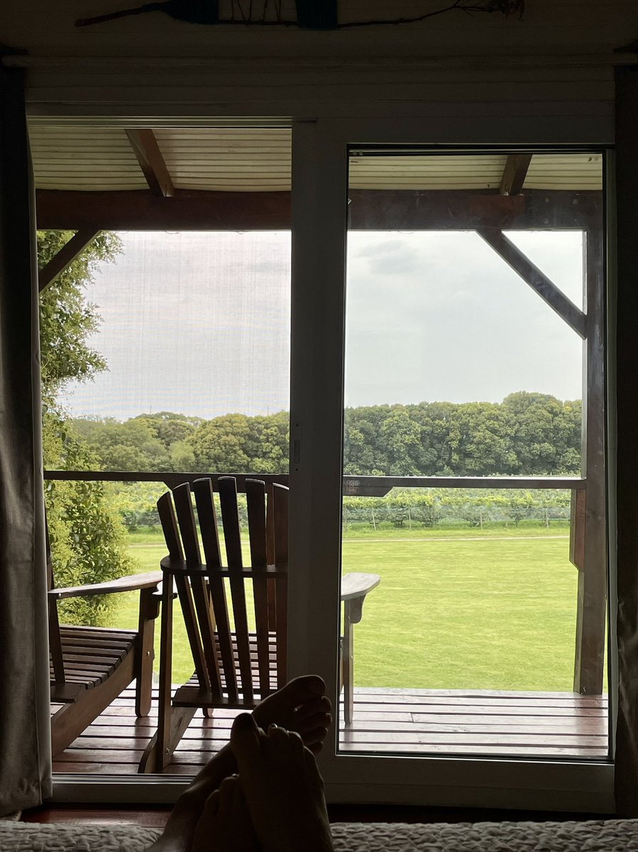 @mmustapic <a href="/ElNidoTreehouse/">El Nido Treehouses</a> <a href="/rosbergmartin/">Martin Rosberg - Quesos naturales</a> Es hermoso! Desde la cama tenemos vista a un mini viñedo 😍