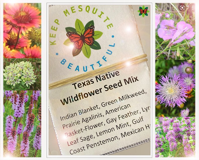 Please enjoy the sidebars on the graphic below - images of the Lemon Mint, Indian Blanket, Green Milkweed, American Basket-Flower, Gay Feather and American Agalinis wildflowers. #TogetherMakingABetterMesquite
#KeepMesquiteBeautiful
#kmbmesquitetx
#cleancityinitiative