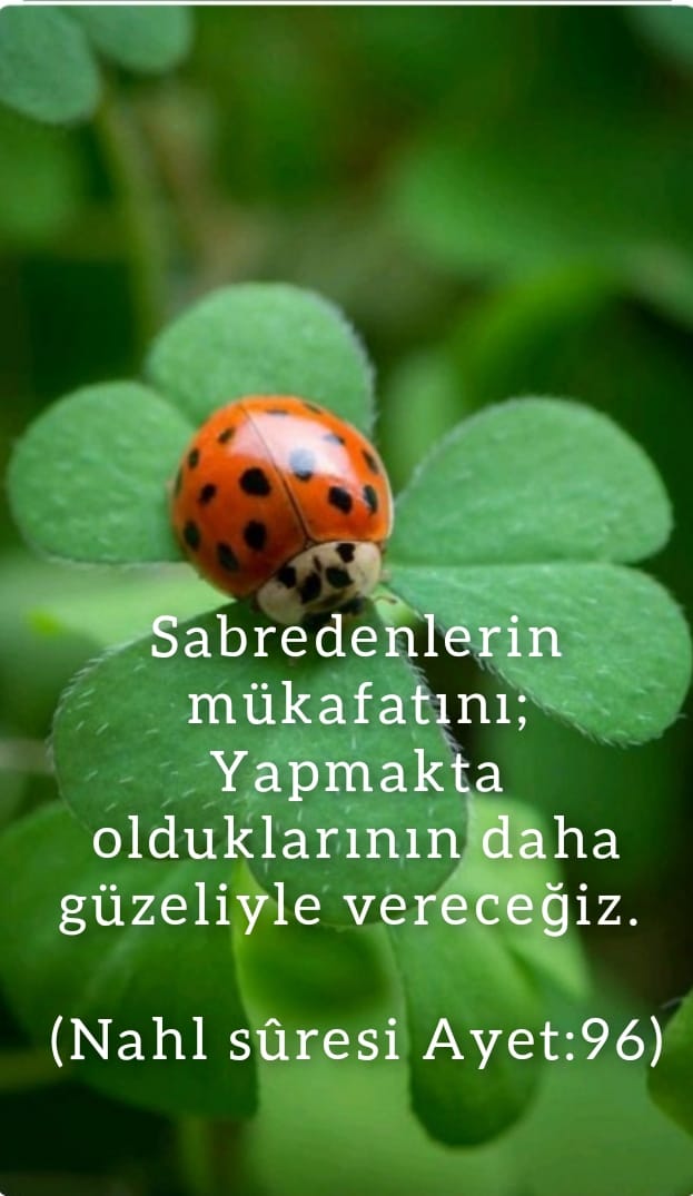 #AyetOkuyarakRegaibeGirelim
<a href="/zafersahin571/">Zafer Şahin</a>
<a href="/_vatanmillet/">KUZGUN</a>
<a href="/besertac/">Sertaç Bekmezekmek</a>
<a href="/DidemAyris/">Didem</a>
<a href="/__Zulal_/">Zulal</a>
<a href="/cvtkarakaya/">cavit🇹🇷🇹🇷</a>
<a href="/once_vatanRte/">༺REİSLE_DEVAM༻</a>
@016700kmne123
<a href="/1zeynepbabur/">ZEYNEP 🇹🇷</a>
<a href="/the_hazan/">the_hazan</a>
<a href="/HalilOzkan1956/">Halil Özkan🇹🇷🇹🇷🇹🇷</a>
<a href="/Bir_Hanim_Aga/">1_daglar_kizi</a>
@Sorma_Benii
<a href="/MSC21_/">𝕬𝖑𝖑𝖆𝖍'ı𝖓 𝕶𝖚𝖑𝖚</a>
<a href="/SU54UZ/">Mete Han 🇹🇷</a>
@reisci0001
<a href="/SengozErol/">Erol ŞENGÖZ</a>
<a href="/ESRA_26_ESRA/">ESRA 🇹🇷</a>
@Mchiclek_72