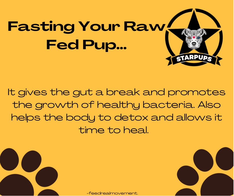 StarpupsSA's tweet image. Do you fast your pup? #dogs #rawfoodfordogs #speciesappropriatediet