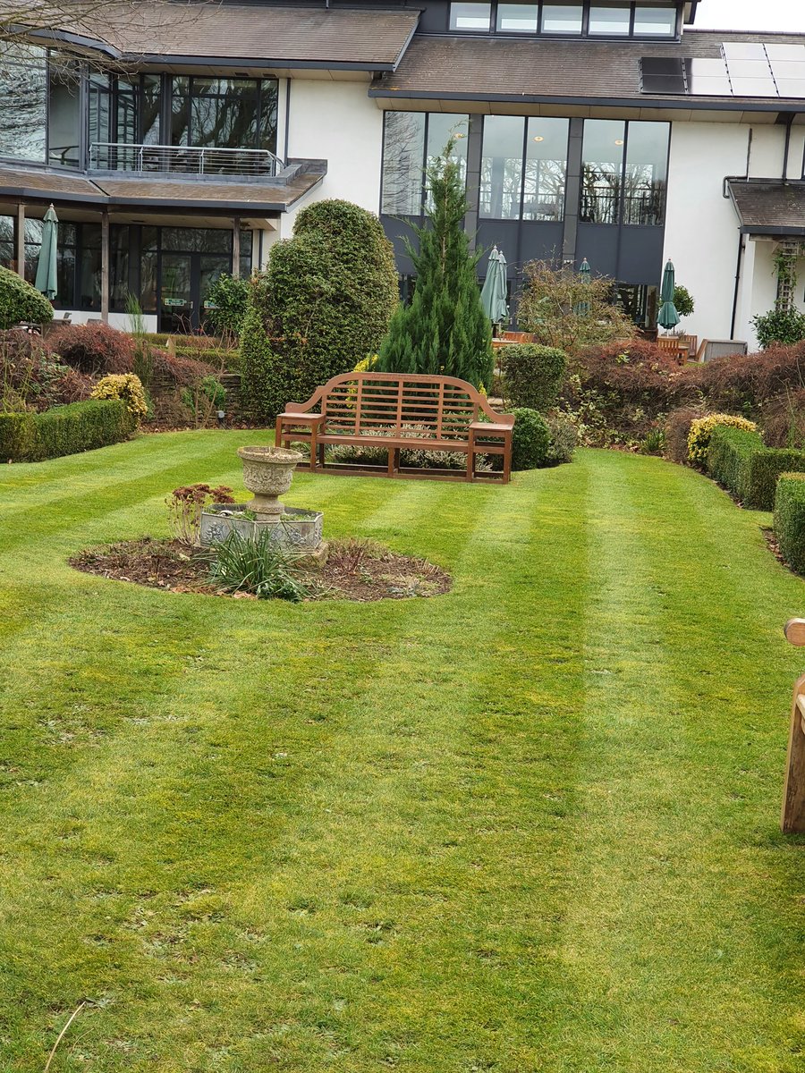 #gardening
#gardens
#royalmidsurreygolfclub
Sunken Garden all striped up, just looking forward to perennials to show themselves now.