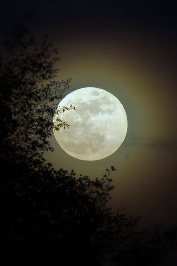 RajshriDhananj1's tweet photo. Goodnight ..🌙 https://t.co/uC2xpnjsDj