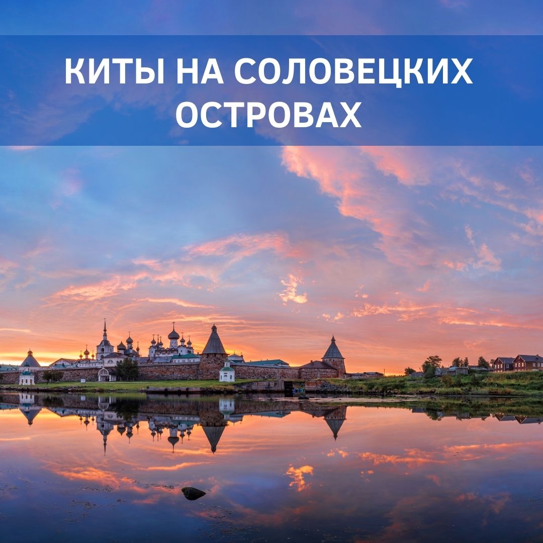 KMP_Group_'s tweet image. Хотите поплавать с китами на Соловецких островах? zen.yandex.ru/media/id/5a6b4… #соловецкиеострова