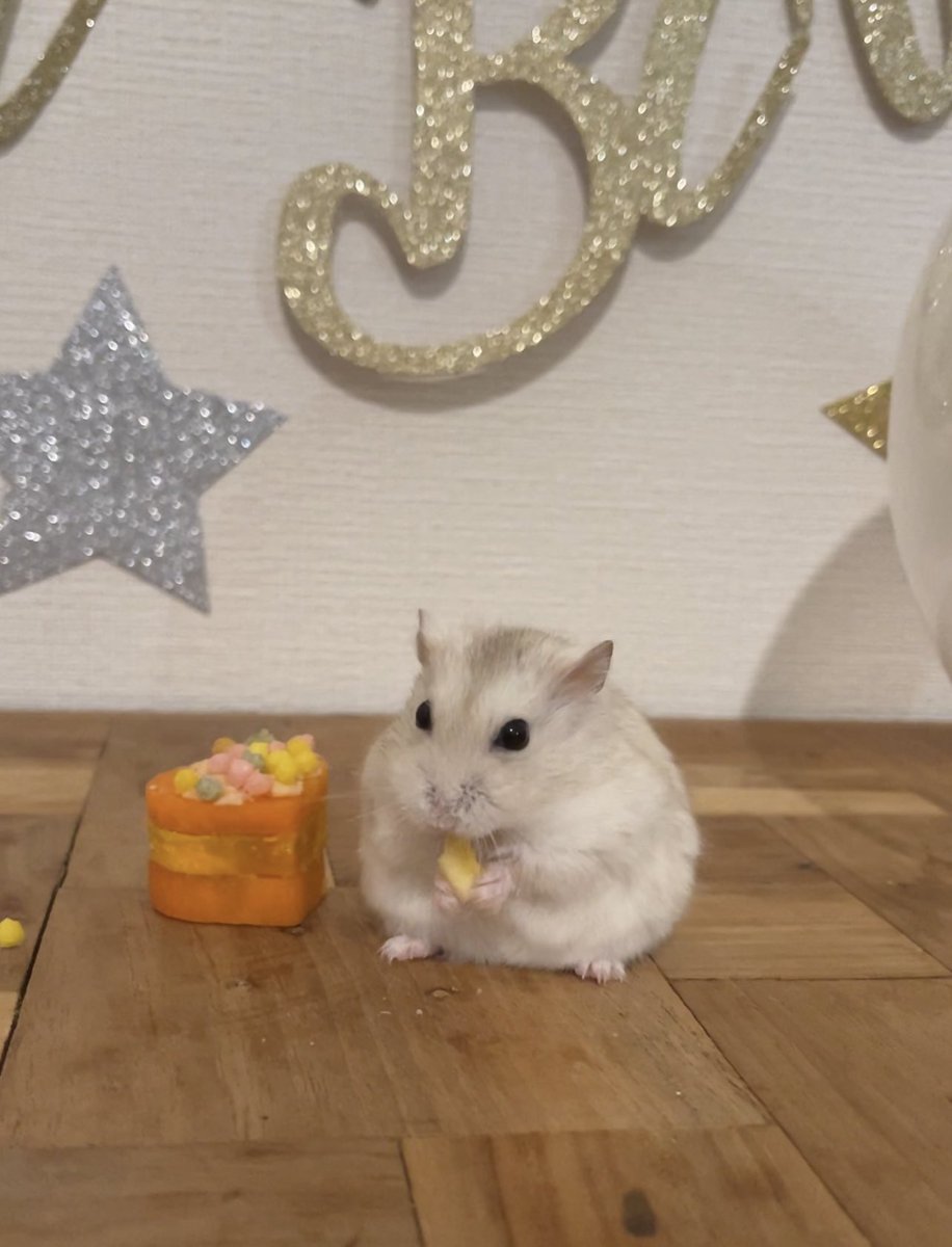 ハムカツが1さいになりました お誕生日おめでとうー！🐹♡ 手づくり