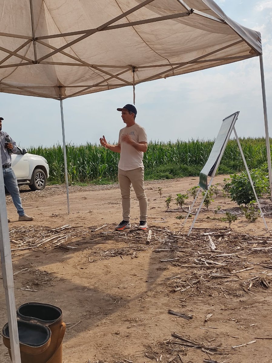 Syngenta Argentina tweet media