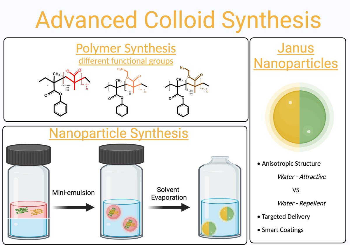 Next up: <a href="/FraaaMazzz/">Francesca Mazzotta</a> who
works at the <a href="/mpi_polymer/">Max-Planck-Institut für Polymerforschung</a> @KLandfester 
Her work focuses on synthesising polymeric #Nanoparticles with controlled amount of functional groups. She is also working on introducing spatial control of the functional groups by synthesising Janus Nanoparticles.