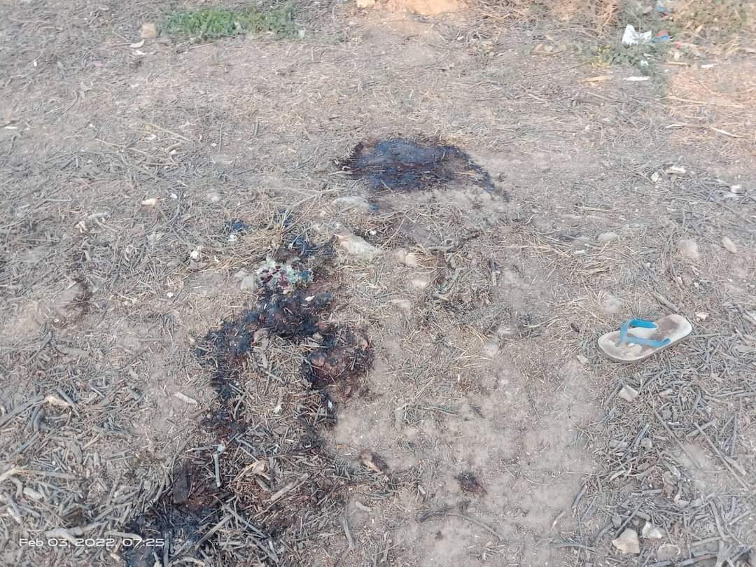 February 3,  2022

 Sagaing Division, Myinmu Township. More than 20 innocent people were burned to death by the #militantgroup in Badat Thai village. A 13-year-old girl was also raped and burned to death by the military.

The number is likely to rise and is being investigated.