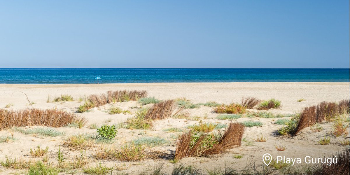 La Playa del Serradal, la del Gurugú  y la del Pinar son solo tres de los motivos por los que tienes que empezar a planear tu visita a Castelló de la Plana. ¡Descúbrelas! #MediterráneoEnVivo