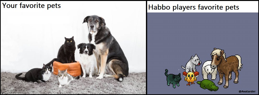 avatarder's tweet photo. @HabboNFT
 #Habbomeme #Habbo #HabboNFT More habbo players who loved their pets and recognise this! https://t.co/knTkQEbn3z