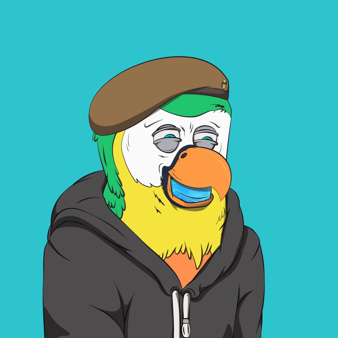 Bored Macaw Sol Club tweet media