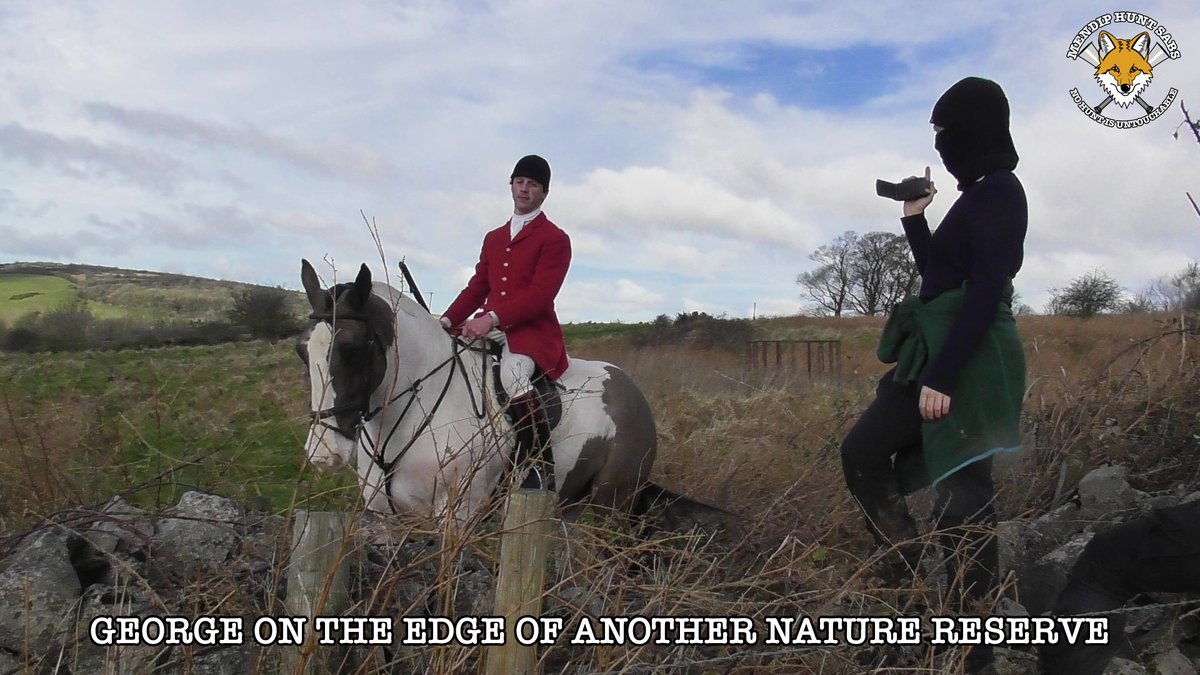 mendiphuntsabs's tweet photo. across fields to the village and took the hounds to a barn at Moor View they always go to. They drew blank and headed west, drawing scrub and gorse on the way. They ended up in Cooks Field Nature Reserve, where Hunt Master George Pullen attacked a sab, wrongly accusing them (2/8) https://t.co/TrfLOJ3cJF