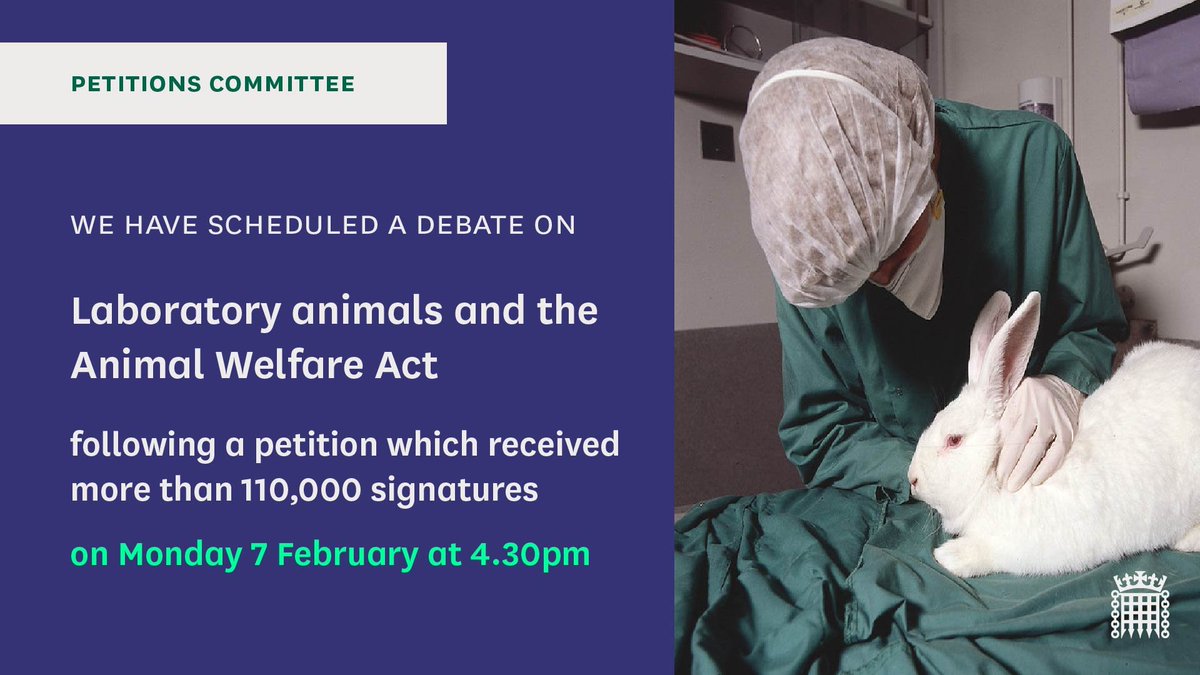 HoCpetitions's tweet photo. Later today, MPs will debate a petition relating to laboratory animals and the Animal Welfare Act, which received more than 110,000 signatures.
Find out more: https://t.co/JFnbCfSDxa https://t.co/pY2k0TlEuh