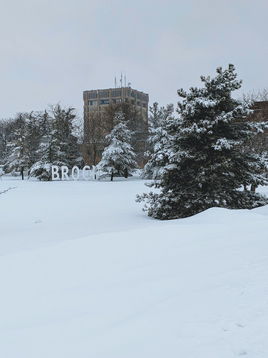 ChrisTheWebDev's tweet image. My walk into work today @BrockUniversity. This weather is snow joke!