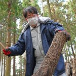 シイタケを2倍収穫する方法!ほだ木をハンマーで10打!