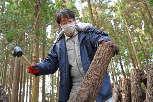 シイタケを2倍収穫する方法！ほだ木をハンマーで10打！