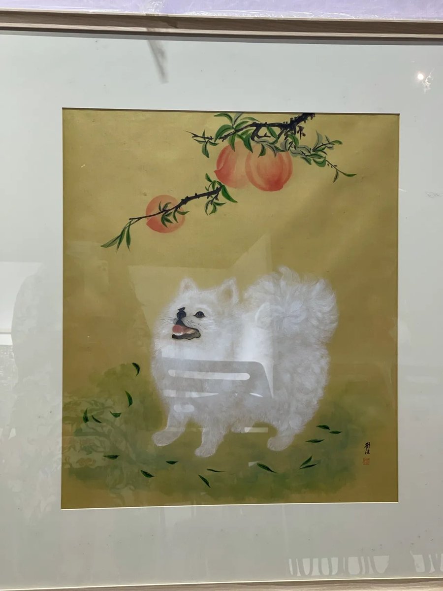 Alyssa (@vamvps) on Twitter photo 