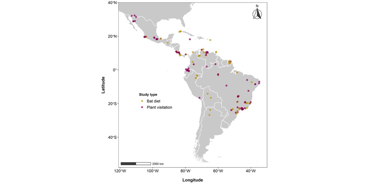 ESAEcology's tweet image. A new Data Paper in @ESAEcology:

NeoBat Interactions: A data set of bat–plant interactions in the Neotropics

doi.org/10.1002/ecy.36…

With #OpenData in @ZENODO_ORG

#Bats #SpeciesInteractions #OpenScience @gflorezm
