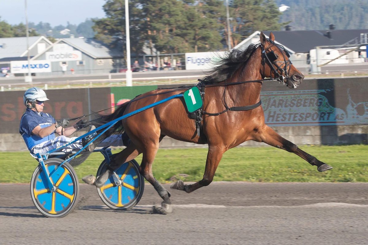 Calina og Devious legger løpeskoene på hylla og blir avlshopper og stallvenniner hos Jean Pierre Dubois!🇫🇷

Devious 👉🏻 Fabulous Wood
Calina    👉🏻 Davidson du Pont

facebook.com/10994005742853…