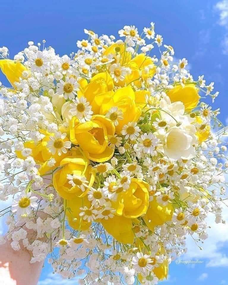 Hayrlı Mutlu Kandiller 🌼