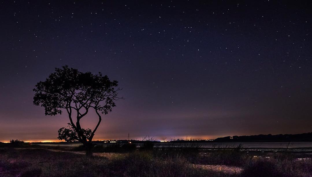 Chichester Harbour Conservancy tweet media