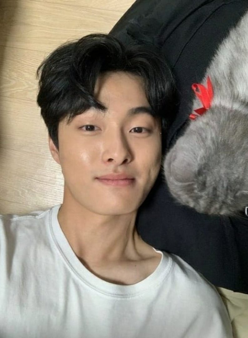 kdramadaisy's tweet photo. chanyoung's cat kissed his dimple now all of us are meowing https://t.co/6XcWebMu3a